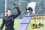 《警花与警犬》火热开播 美女黄梦莹变训犬警花