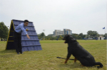 《警花与警犬》将开播 于和伟给警犬当“绿叶”