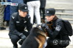 《警花与警犬》火热播出 多类型题材剧获得持续点赞