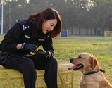 《警花与警犬》剧情介绍 《警花与警犬》讲的什么？