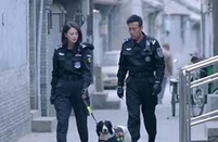 警花与警犬第34集剧情：姝寒伴樱桃度最后时光